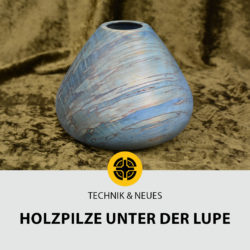 1022-holzpilze