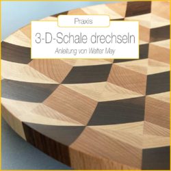 3-d-schale