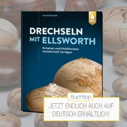 buchtipp-ellsworth