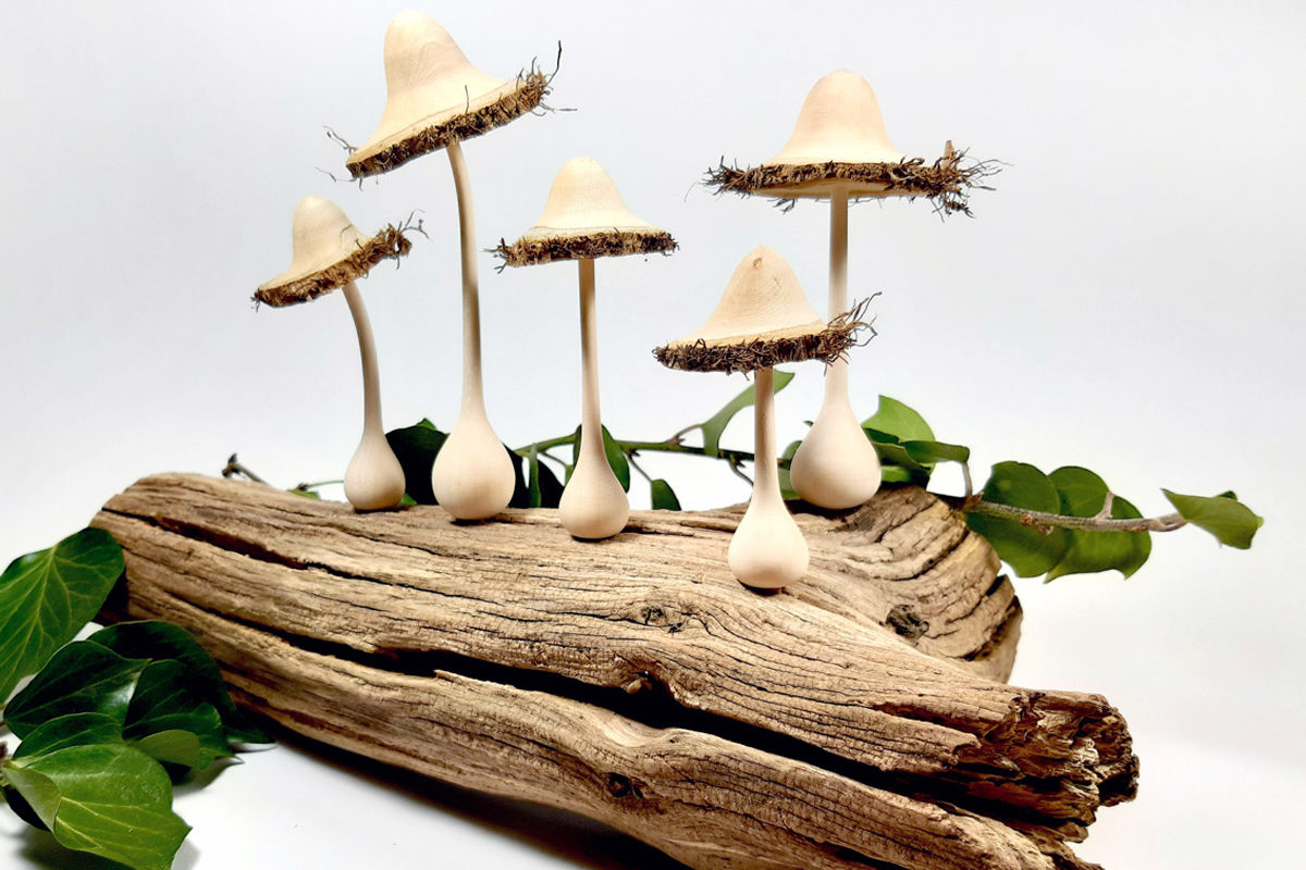 fransige-efeu-pilze-drechseln-anleitung-titel fransige-efeu-pilze-drechseln-anleitung-titel