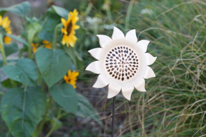 Sonnenblume drechseln
